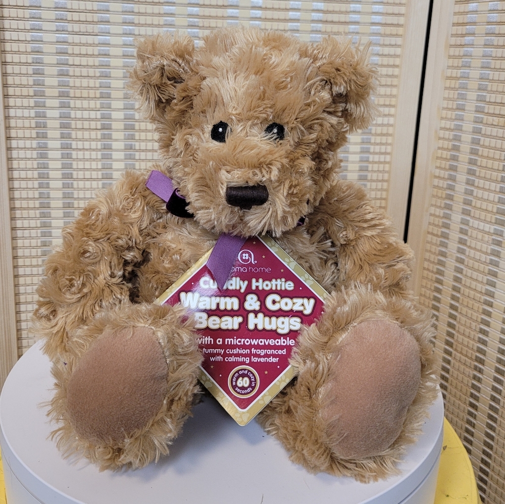 Warm and Cozy TeddyBear Hugs plush bear